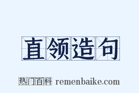 直领造句是什么意思的图片
